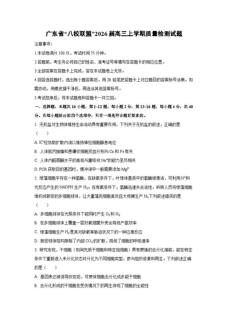 广东省“八校联盟”2026届高三上学期质量检测生物试卷（学生版）第1页