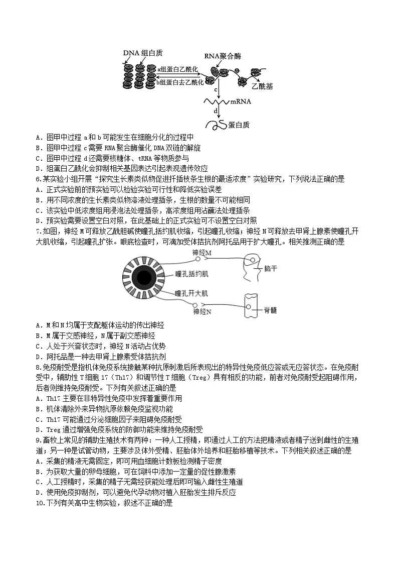 江苏省无锡市澄宜六校联盟2025-2026学年高三上学期12月学情调研生物试题（含答案）第2页