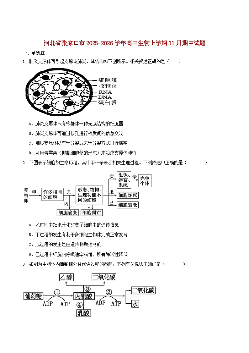 河北省张家口市2026届高三生物上学期11月期中试题第1页