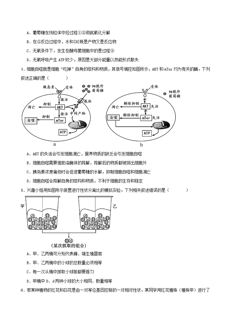 河北省张家口市2026届高三生物上学期11月期中试题第2页