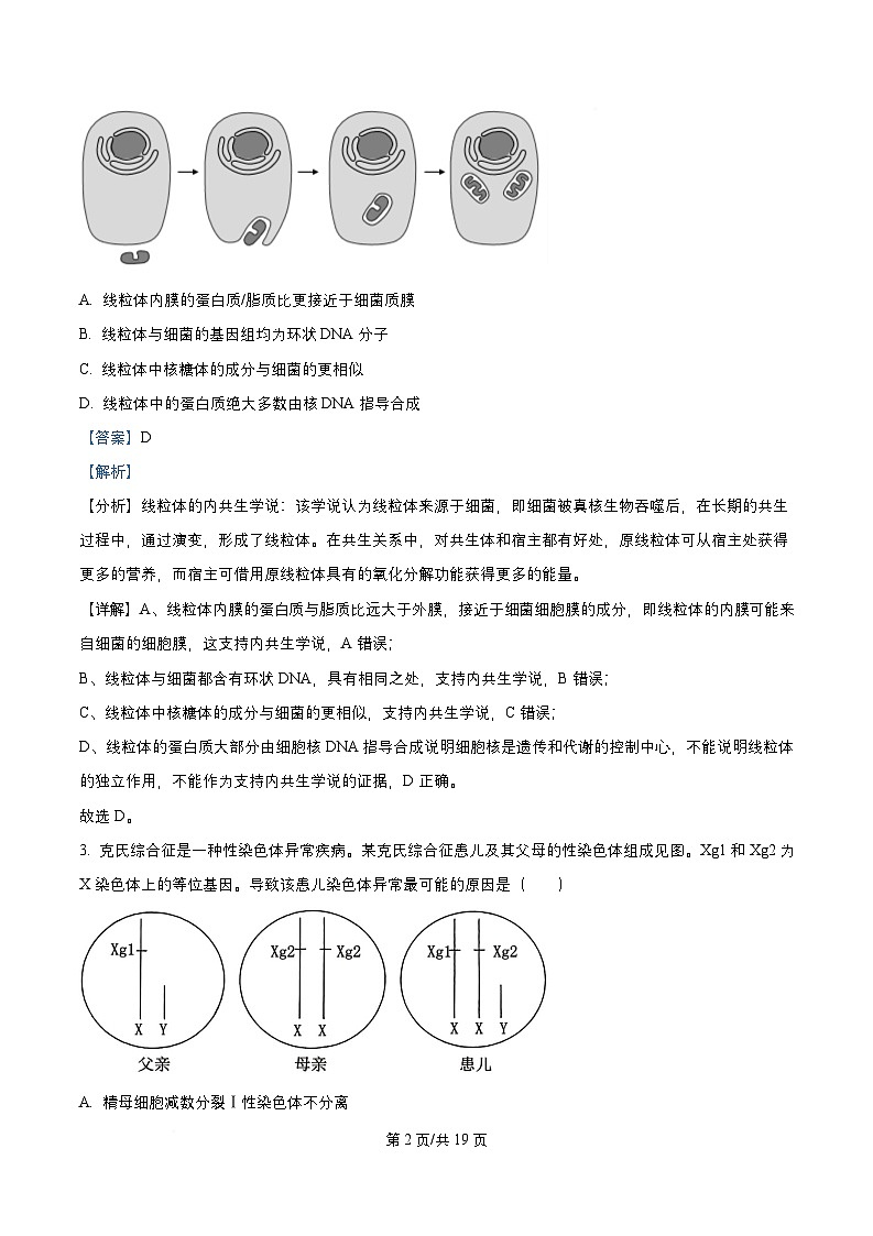 四川省成都市2026届高三生物上学期期中试卷含解析第2页