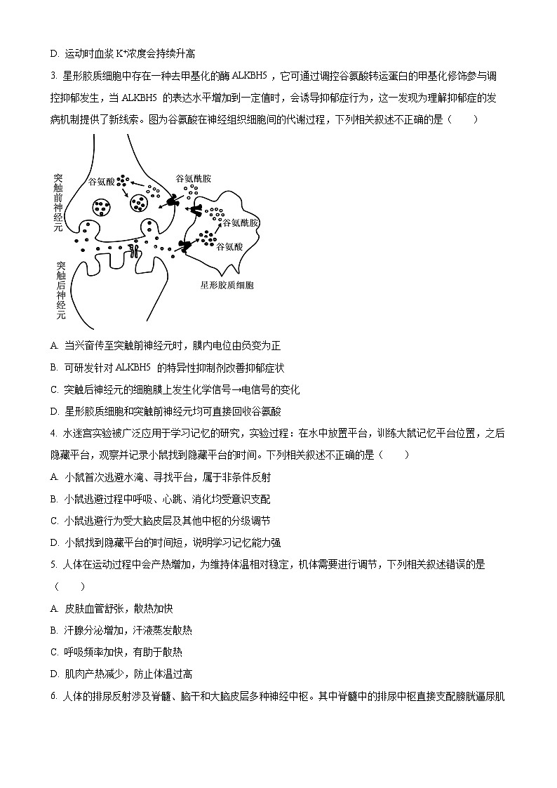 北京市朝阳区2024-2025学年高二上学期1月期末质量检测生物试卷  Word版无答案第2页