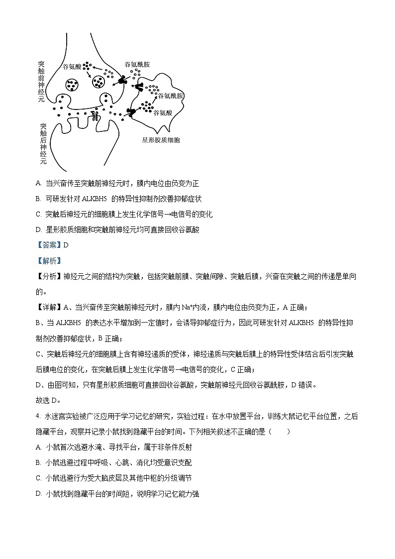 北京市朝阳区2024-2025学年高二上学期1月期末质量检测生物试卷  Word版含解析第3页