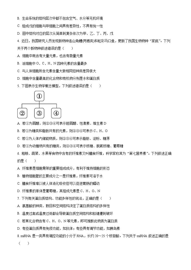 北京市丰台区2024-2025学年高一上学期期末生物试题 Word版无答案第2页