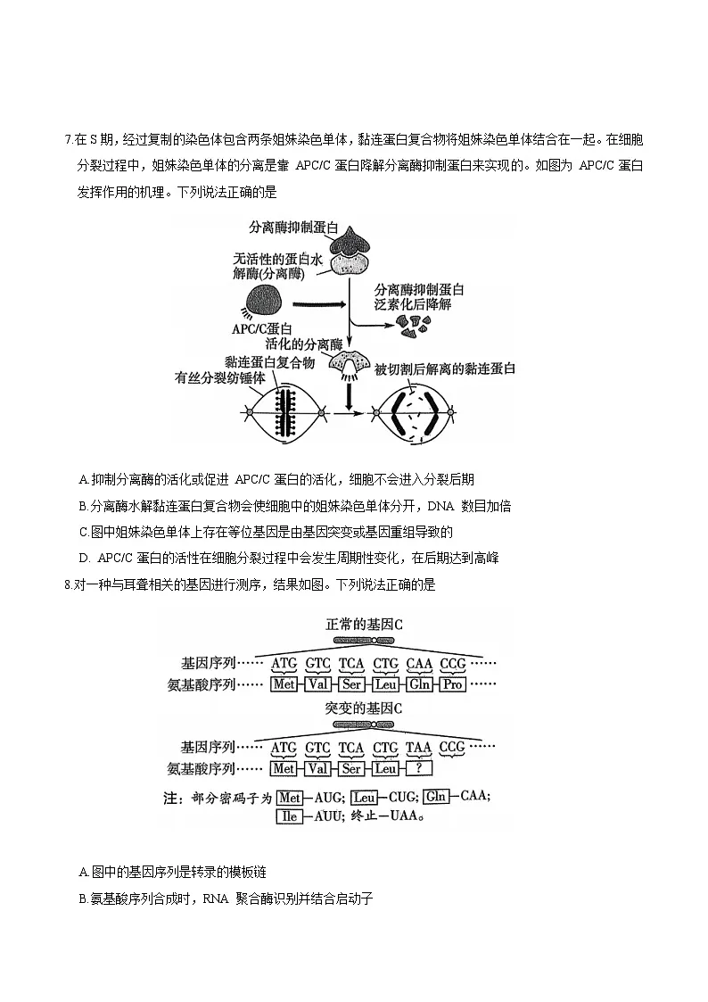 山东省新高考联合质量测评2026届高三上学期12月联考 生物试卷（含答案）第3页