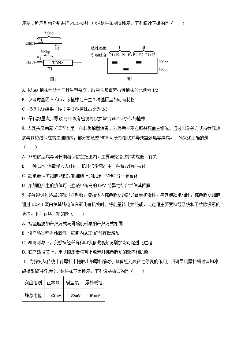 江苏基地联考26上12月生物原卷第3页