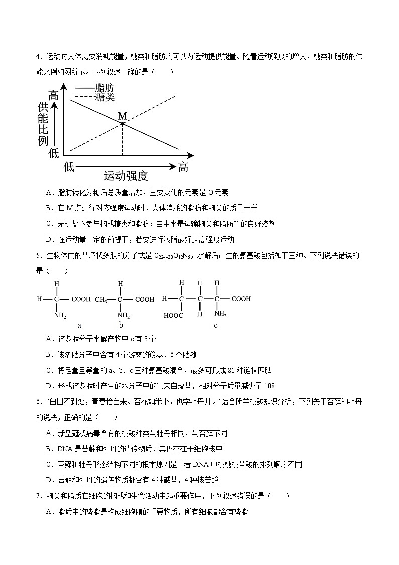重庆市名校联盟2025-2026学年高一上学期第二次联合考试（12月）生物试卷（含答案）第2页