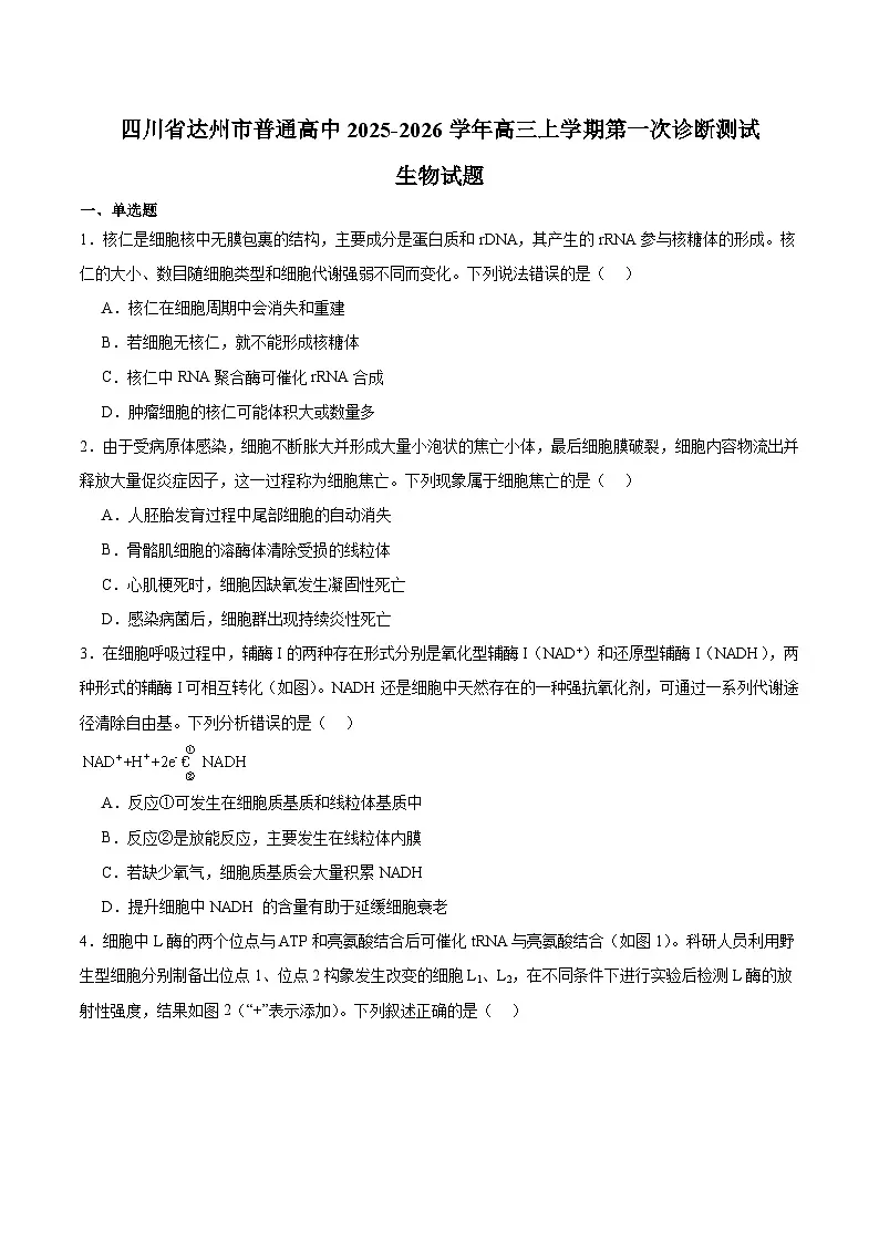 四川省达州市普通高中2026届高三上学期第一次诊断测试 生物试卷（含答案）第1页