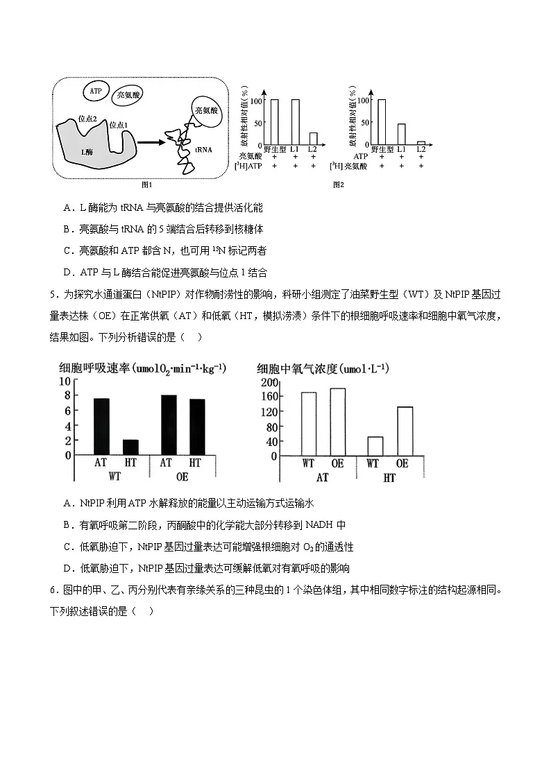 四川省达州市普通高中2026届高三上学期第一次诊断测试 生物试卷（含答案）第2页