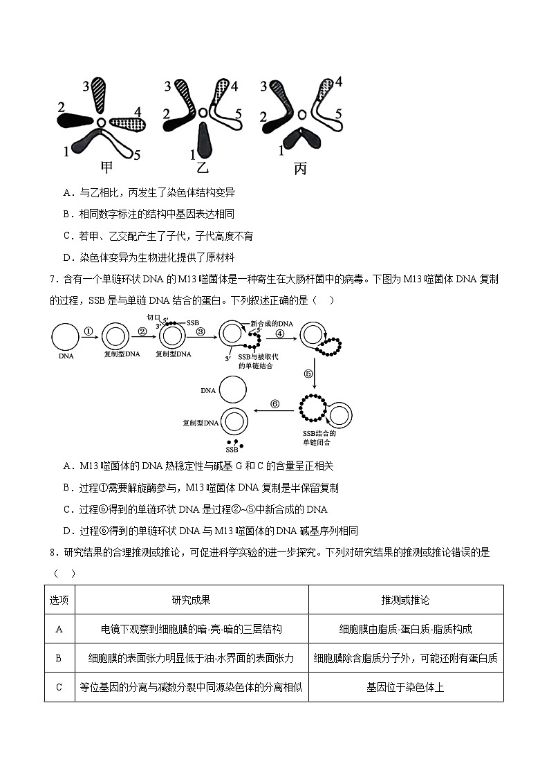 四川省达州市普通高中2026届高三上学期第一次诊断测试 生物试卷（含答案）第3页