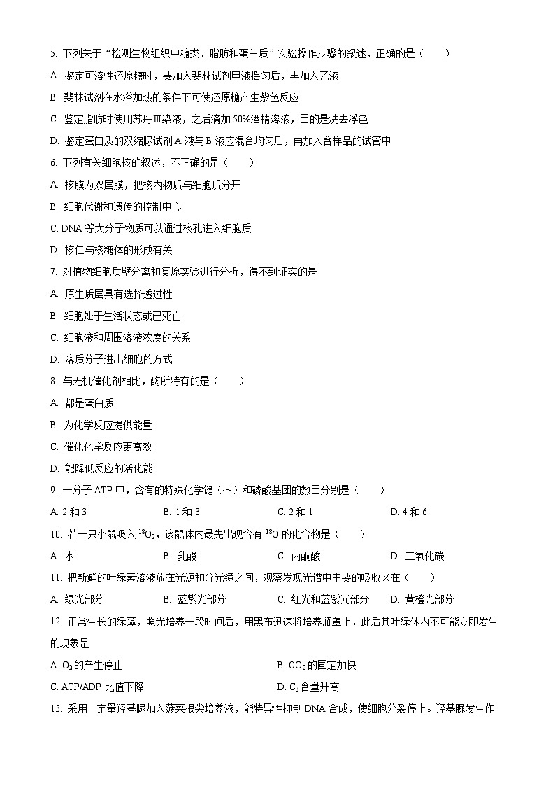 北京市海淀区2024-2025学年高一上学期1月期末考试生物试卷  Word版含答案第2页