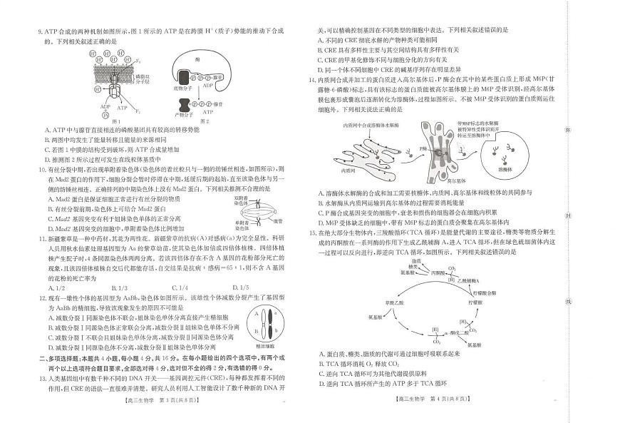 生物丨江西省金太阳2026届高三上学期10月联考（26-42C）试卷及答案第2页