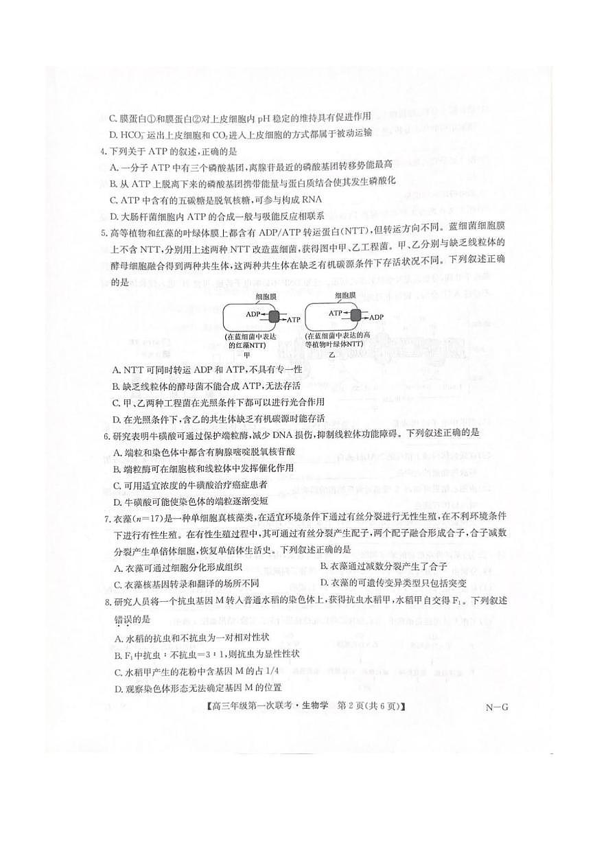 生物丨江西省九师联盟新十校协作体2026届高三上学期10月第一次联考试卷及答案第2页