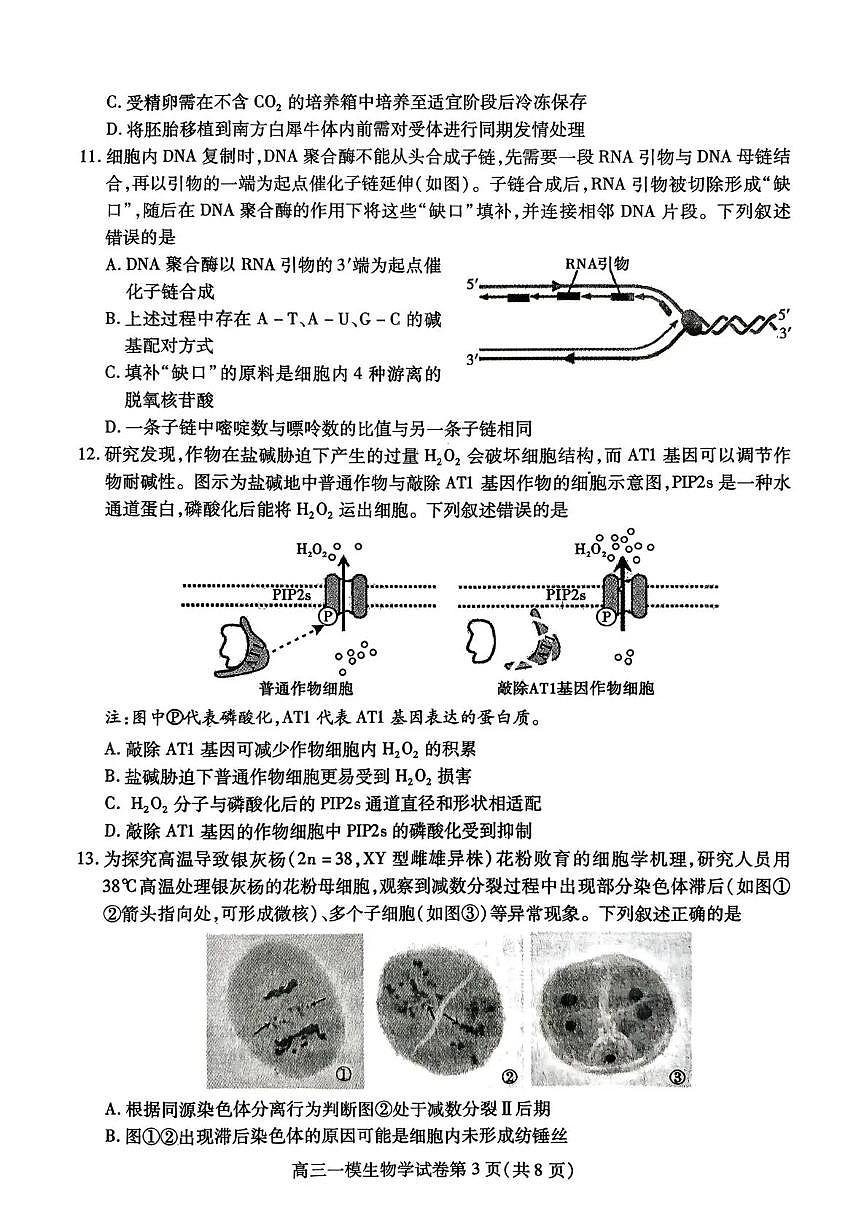 内江市高中2026届第一次高考模拟考试题生物试卷+答案第3页