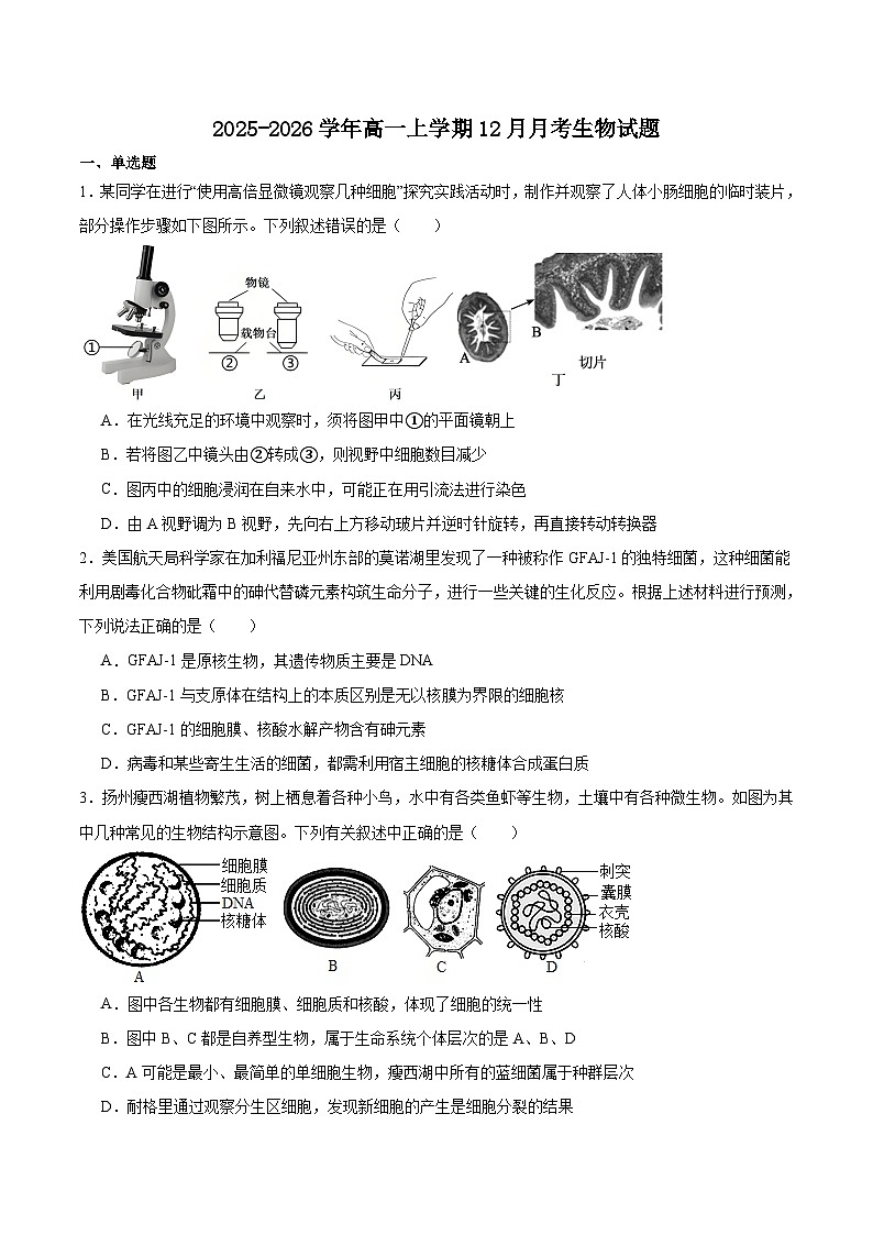 重庆市名校联盟2025-2026学年高一上学期12月联合考试 生物(含答案）第1页