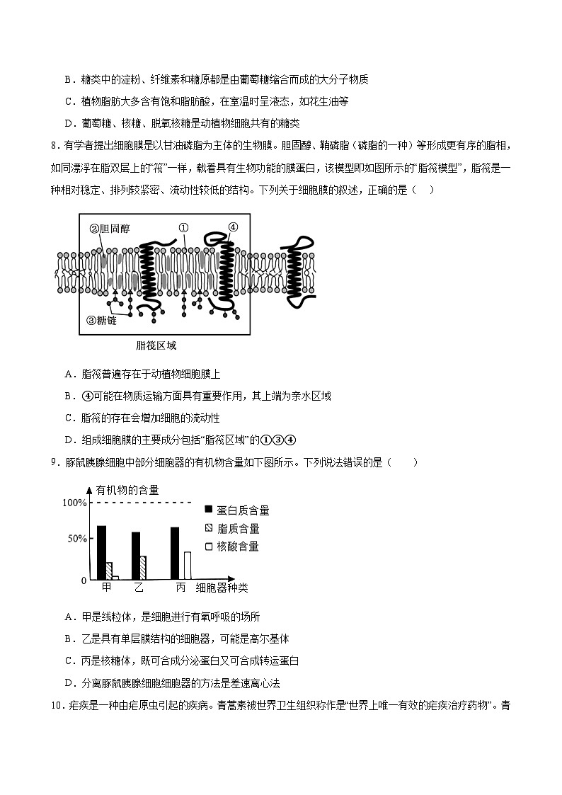 重庆市名校联盟2025-2026学年高一上学期12月联合考试 生物(含答案）第3页