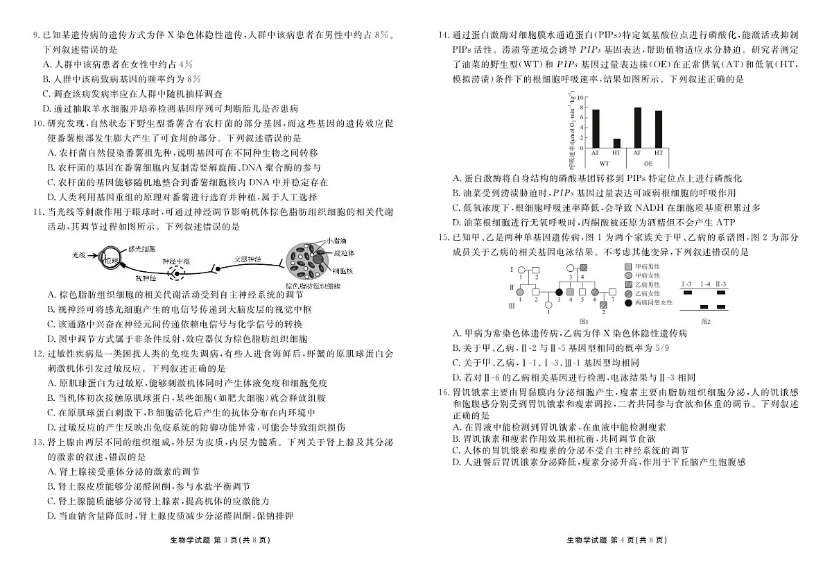 湖北省衡水金卷2026届高三上学期12月联考生物第2页