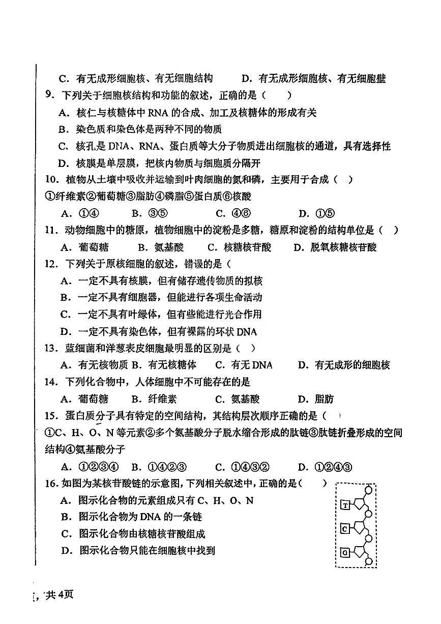 天津市东丽区天津钢管公司中学2025-2026学年高一上学期12月月考生物试题第2页