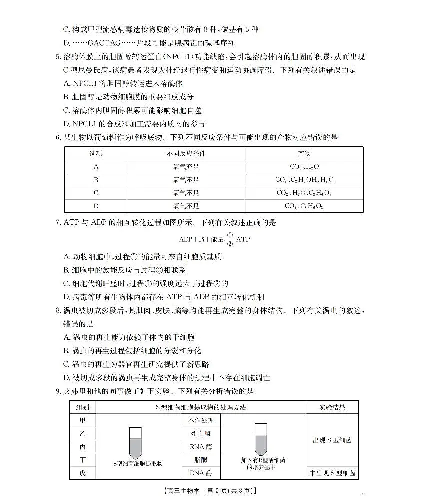 甘肃省2026届高三上学期12月阶段性考试生物第2页
