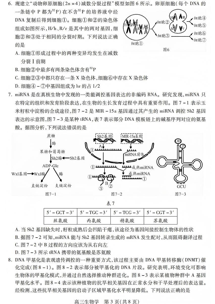 生物试卷第3页