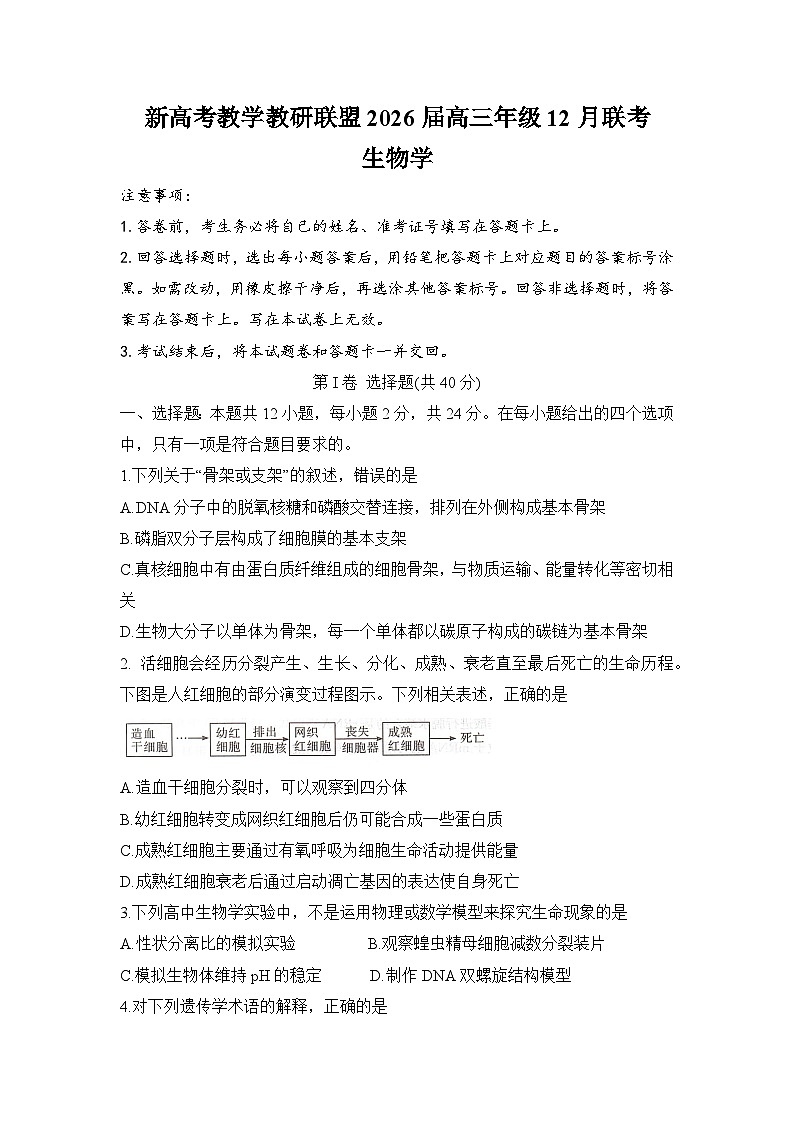 湖南省新高考教学教研联盟2026届高三上学期12月联考生物试题第1页