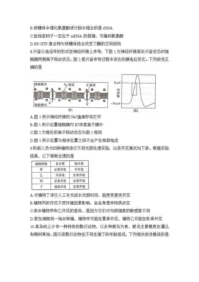 湖南省新高考教学教研联盟2026届高三上学期12月联考生物试题第3页