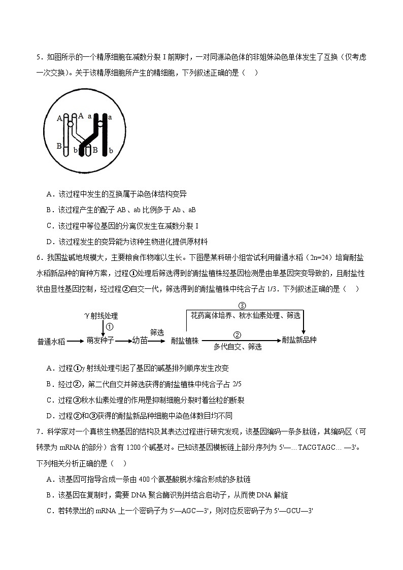 2026贵州省名校协作体高三上学期质量监测（二）生物含答案第2页