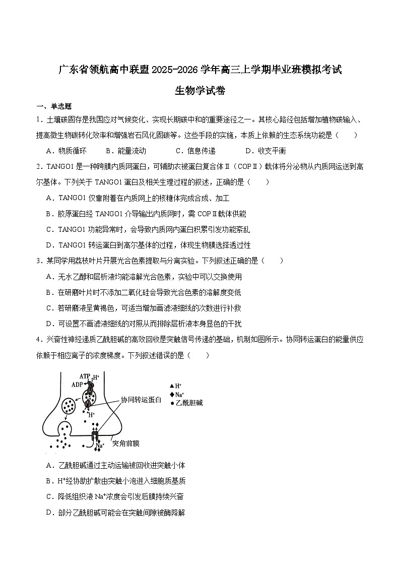 2026广东省领航高中联盟高三上学期12月模拟考试生物含答案第1页