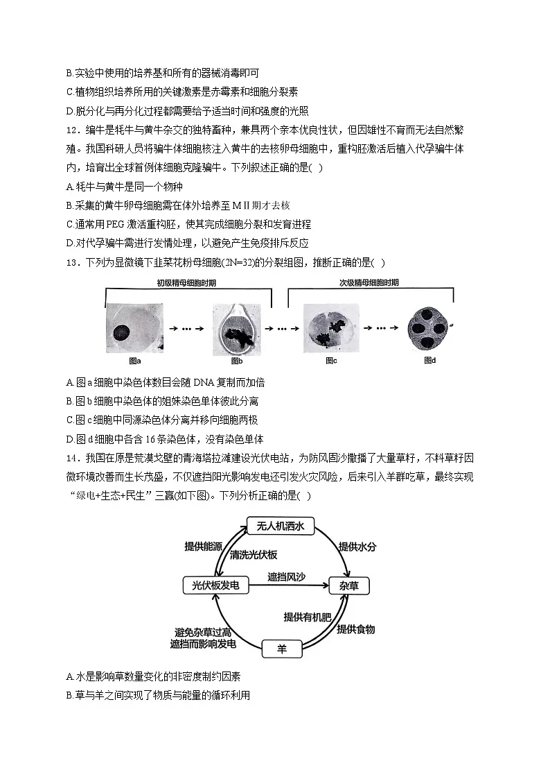 2026广东省高三上学期12月第二次调研考试生物含解析第3页