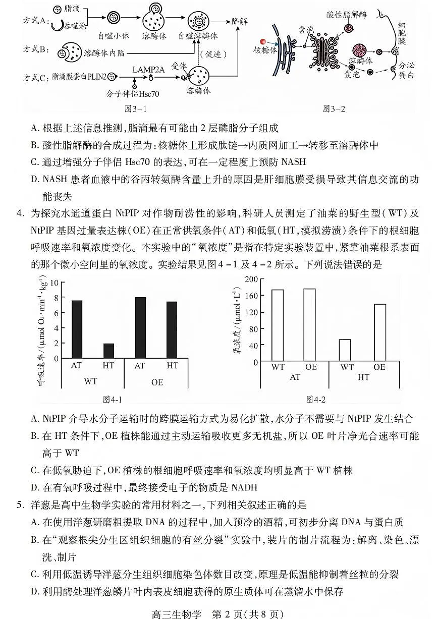 四川省乐山市2026届高三第一次调查研究考试 生物试题+答案（乐山一调）第2页