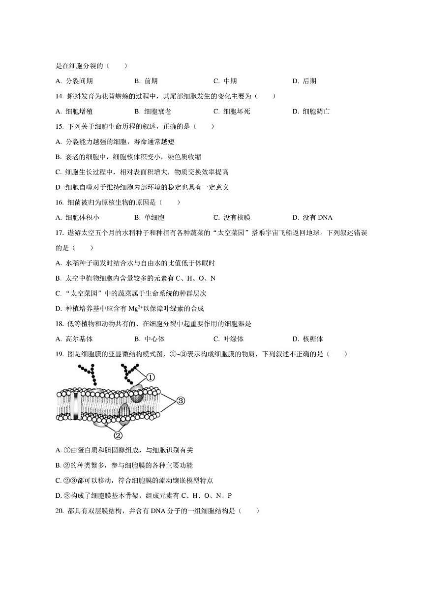 北京市海淀区2024-2025学年高一上学期1月期末考试生物试卷（含答案）第3页
