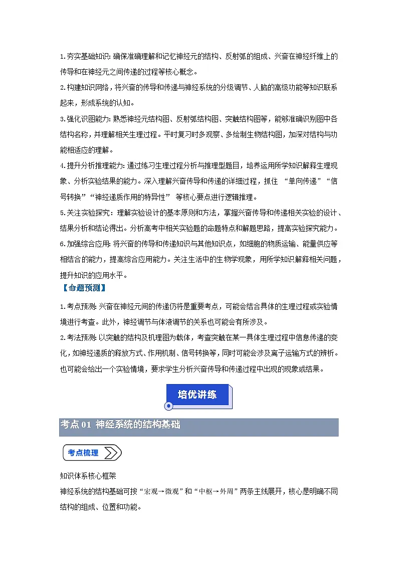 专题14 兴奋的传导和传递（高效培优讲义）（解析版）第2页