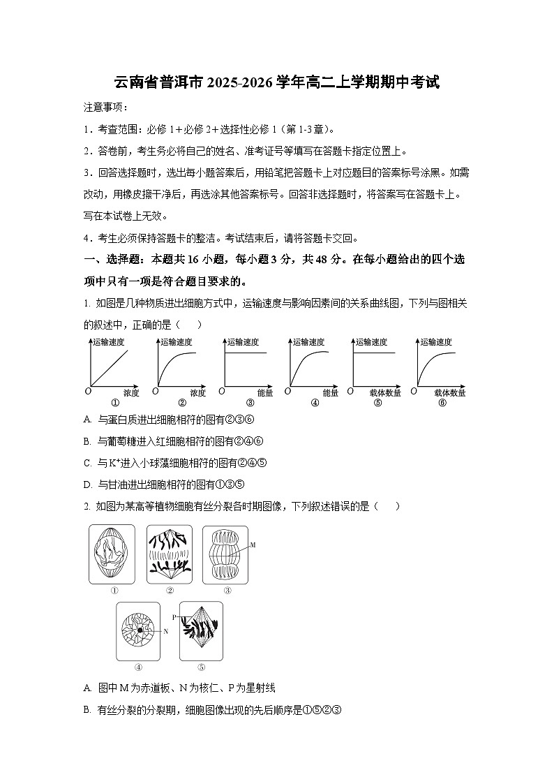 2025-2026学年云南省普洱市高二上学期期中考试生物试卷（学生版）第1页