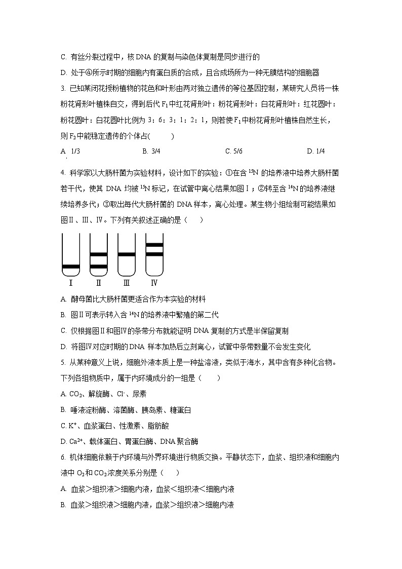 2025-2026学年云南省普洱市高二上学期期中考试生物试卷（学生版）第2页