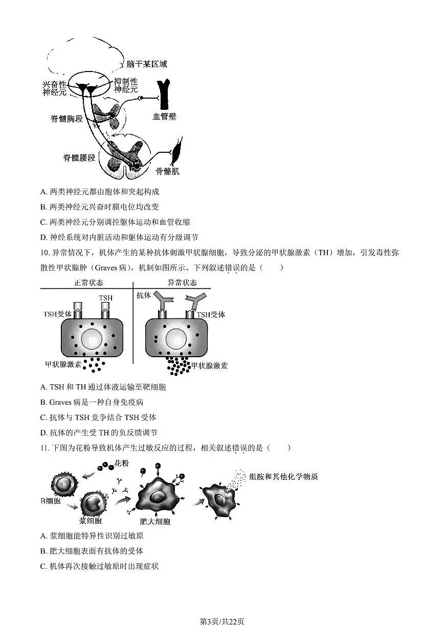 2025北京西城高三（上）期末生物试卷（教师版）第3页