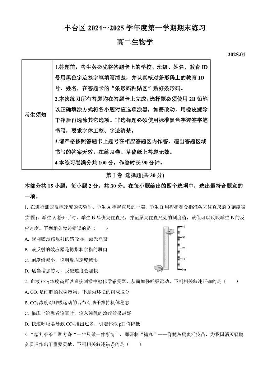 北京市丰台区2024-2025学年高二上学期期末考试生物试题（含答案）第1页