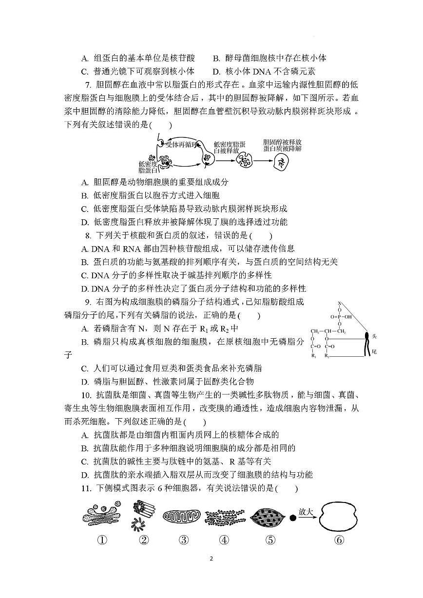 江苏省徐州市睢宁县宁海高级中学2024-2025学年高二下学期5月月考生物试题（含答案）第2页