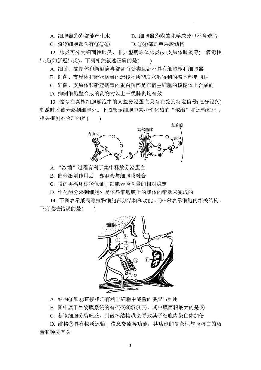 江苏省徐州市睢宁县宁海高级中学2024-2025学年高二下学期5月月考生物试题（含答案）第3页