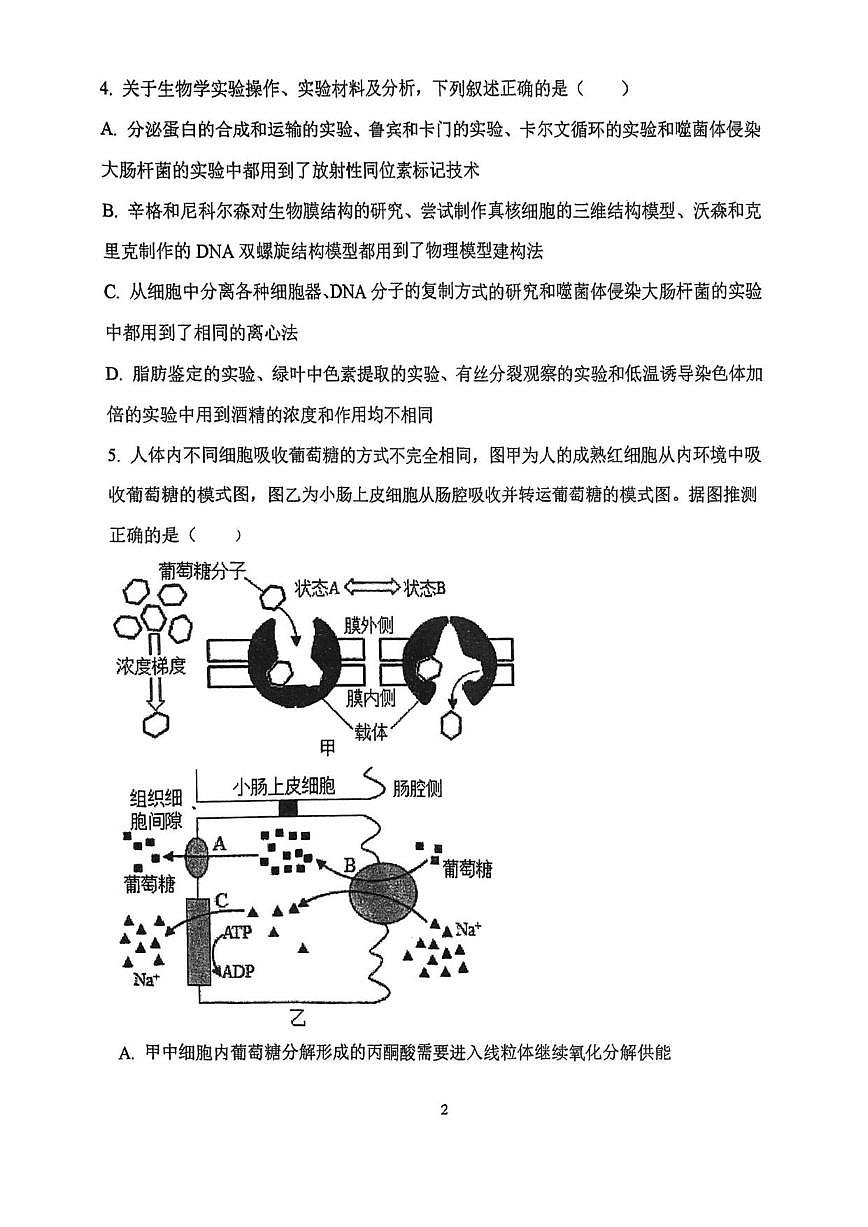 天津市西青区张家窝中学2025-2026学年高三上学期12月月考生物试题（无答案）第2页