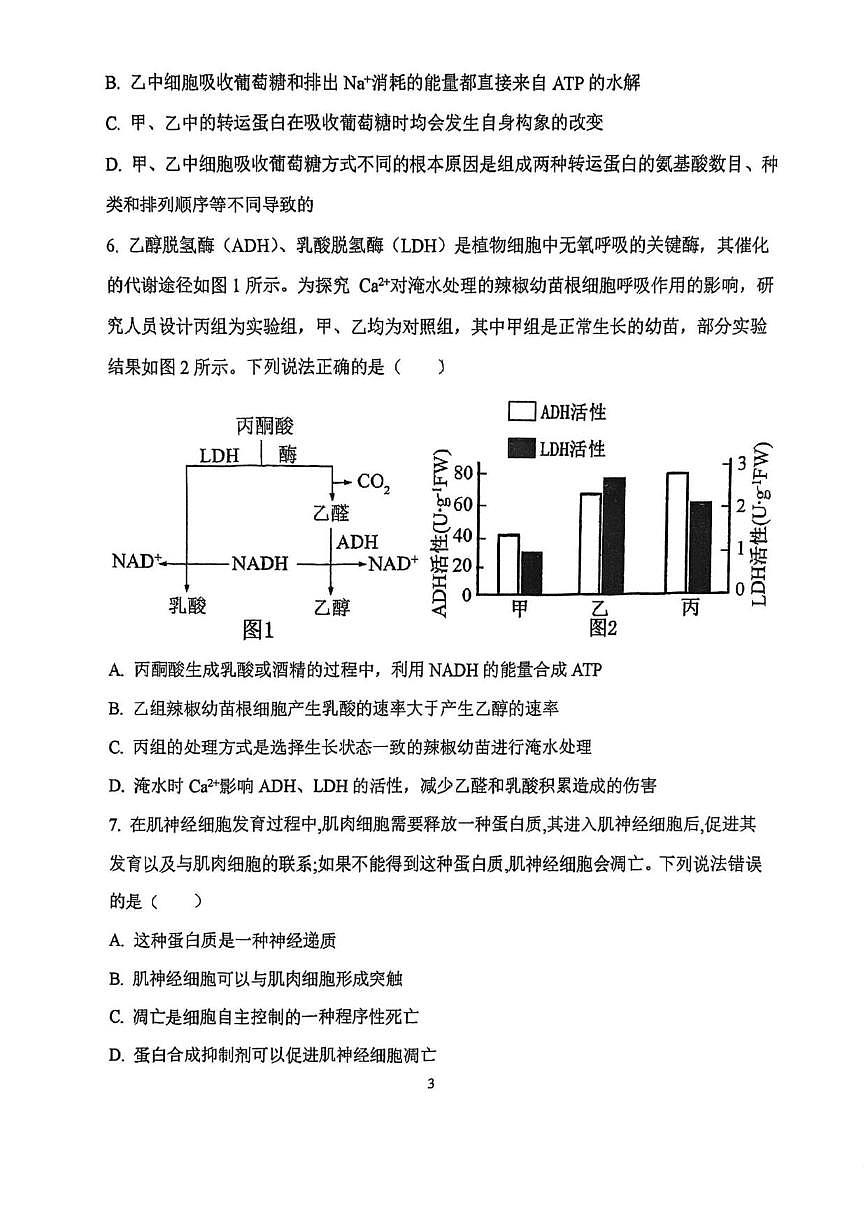 天津市西青区张家窝中学2025-2026学年高三上学期12月月考生物试题（无答案）第3页
