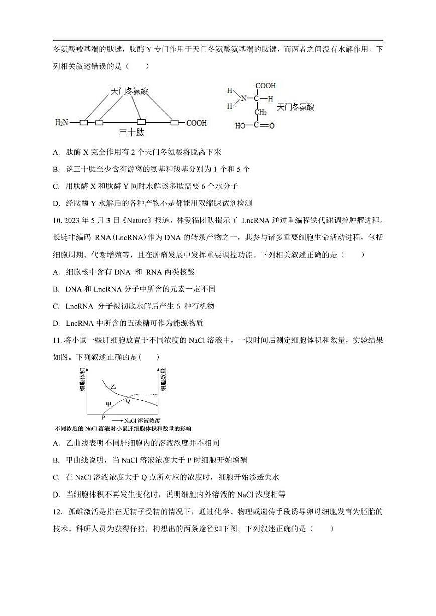云南省丽江市华坪县第一中学2025-2026学年高三上学期期中考试生物学试卷（含解析）第3页