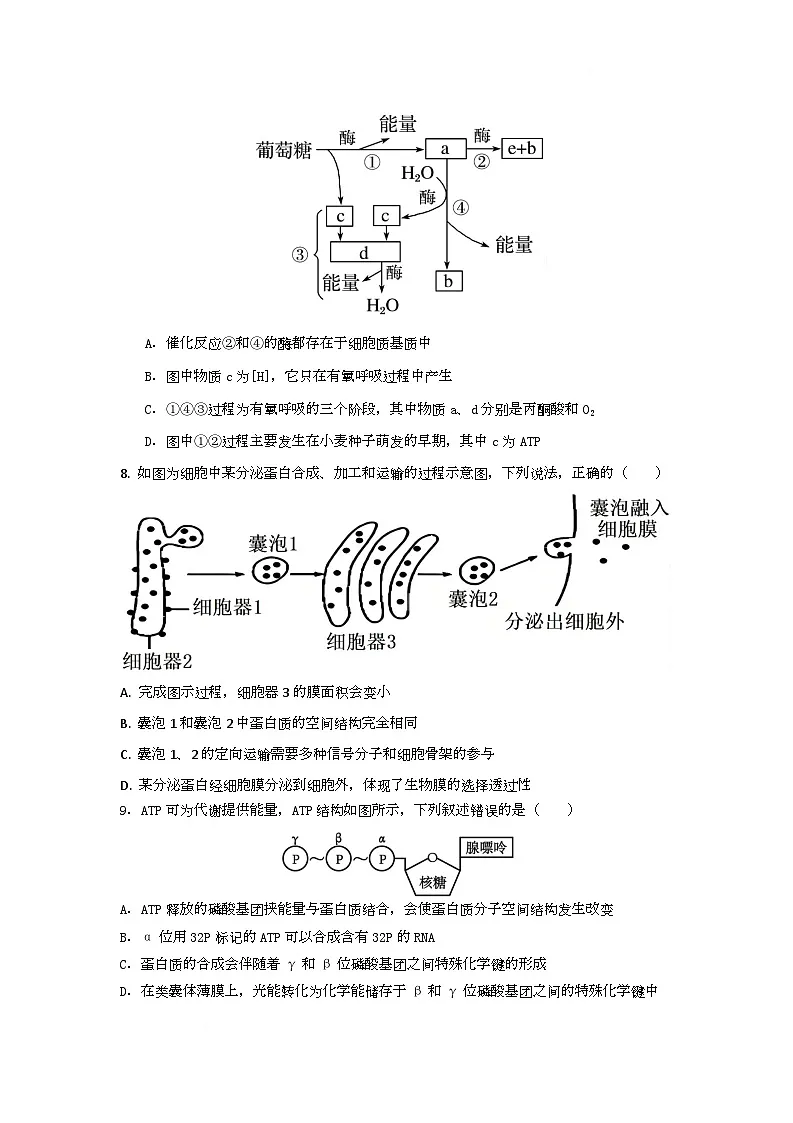 湖南省常德市临澧县第一中学2025-2026学年高一上学期12月月考生物试题第3页