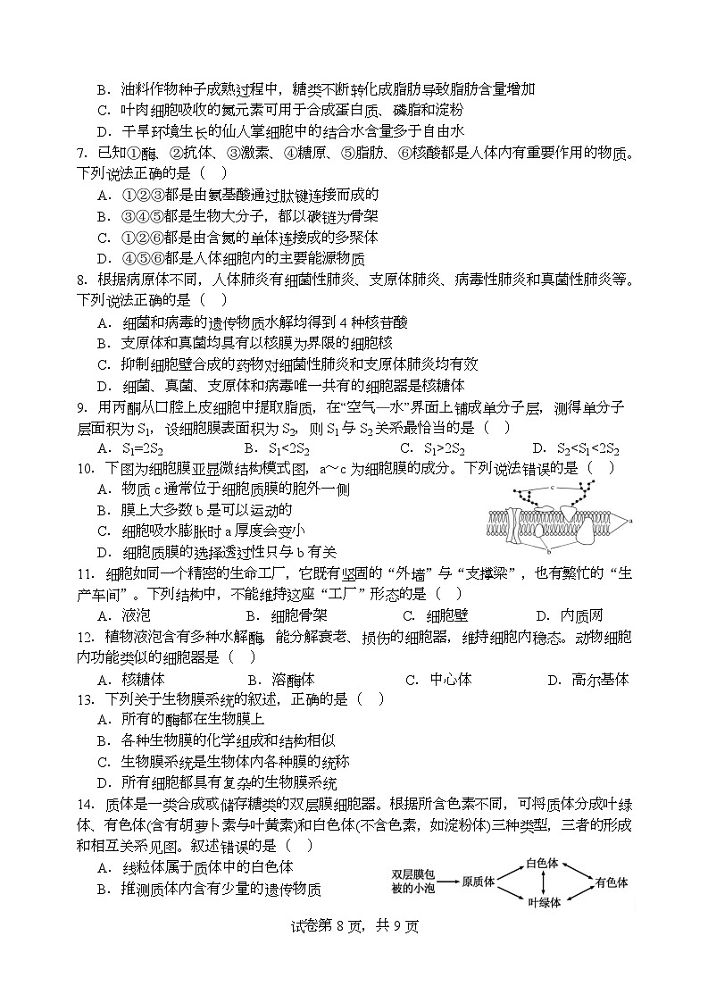 江苏省扬州中学2025-2026学年高一上学期12月月考生物试题第2页