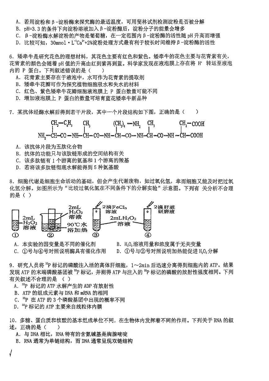 四川省内江市资中县第二中学2025-2026学年高一上学期12月月考生物试题第2页