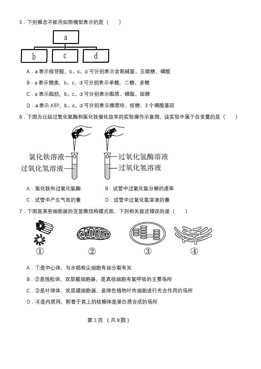 天津市北辰区青光中学2025-2026学年高一上学期第二次月考生物试卷第2页