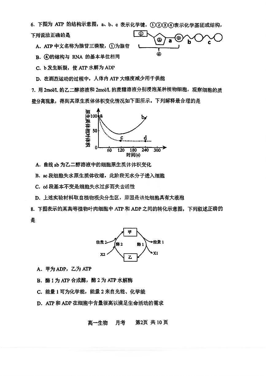 天津市河北区天津市第十四中学2025-2026学年高一上学期12月月考生物试题第2页