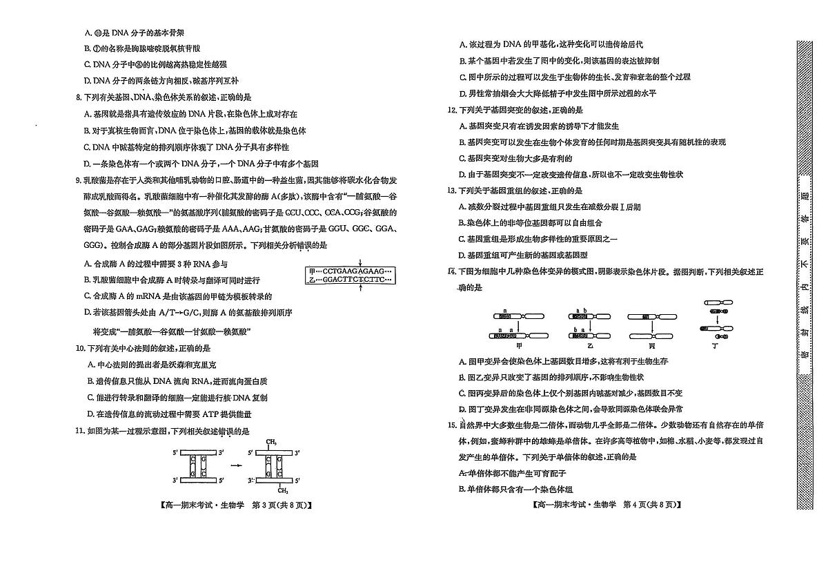 内蒙古鄂尔多斯市西四旗2024-2025学年高一上学期期末生物试题第2页