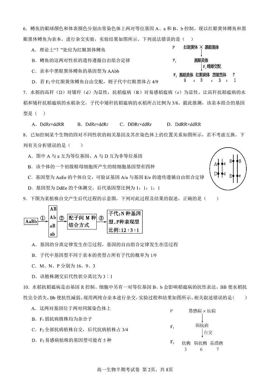 福建省三明第一中学高一下学期5月期中生物试题第2页