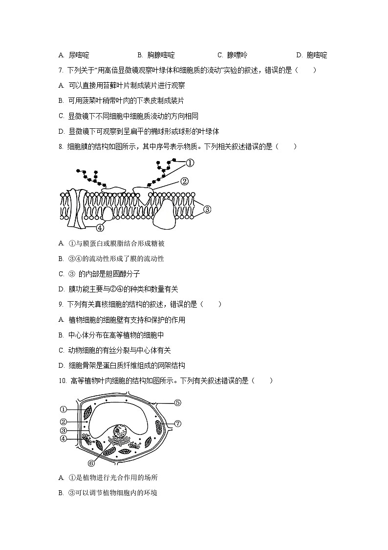 【生物】广东省湛江市八校联考2025-2026学年高一上学期11月期中试题（学生版）第2页