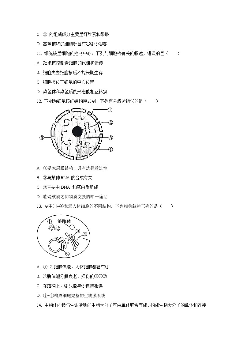 【生物】广东省湛江市八校联考2025-2026学年高一上学期11月期中试题（学生版）第3页